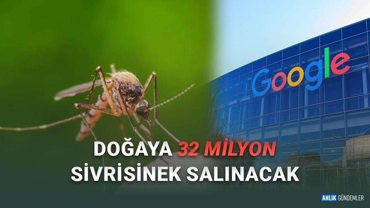 Google'dan Milyonlarca 'Süper' Sivrisinek Hamlesi: İnsanlığın Kâbusu Bitecek mi?