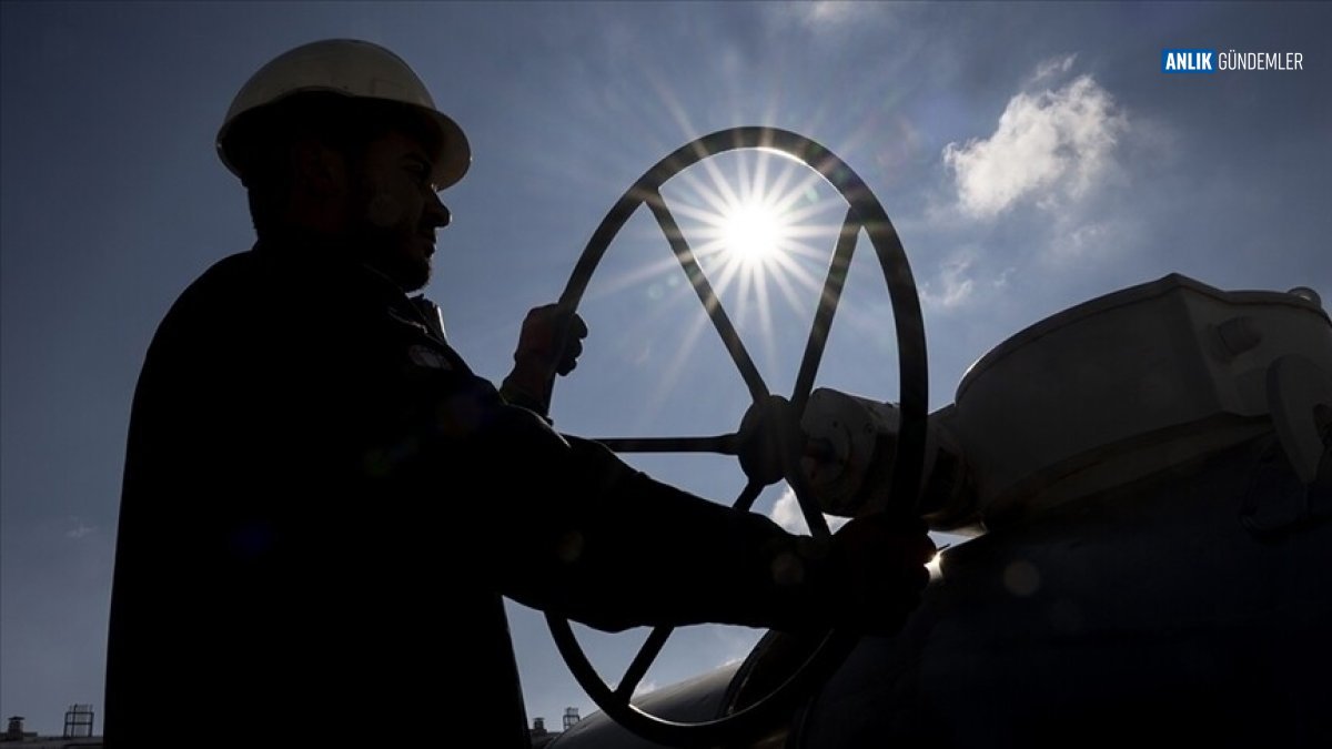 Küresel Krizlere Karşı Türkiye'nin Enerji Kalkanı: Hürmüz Riskinde Arz Güvenliği Teminat Altında